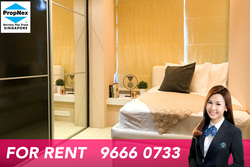 residences-@-evelyn photo thumbnail #14